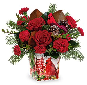 Teleflora's Joyful Cardinal 