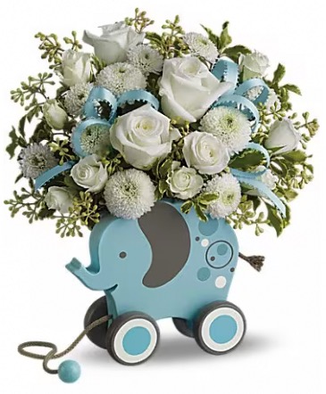 Teleflora’s Migi Elephant Baby Boy  in Coon Rapids, MN | Forever Floral