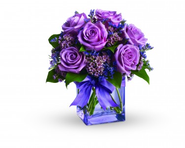 Purple Purple Mother's Day, Birthday, Anniversary, Get Well, Everyday
