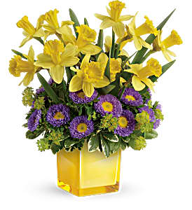 Teleflora's Playful Springtime Daffodil Bouquet