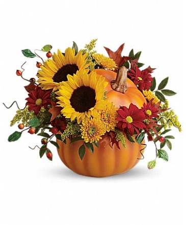 Teleflora's Pretty Pumpkin Bouquet Fresh Arrangement in a Teleflora Keepsake in Auburndale, FL | The House of Flowers