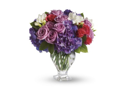 Elegance in Purple All, Anniversary, Birthday, Sympathy, Get Well