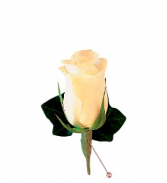 Classic Rose Boutonniere Any Speciall Occasion