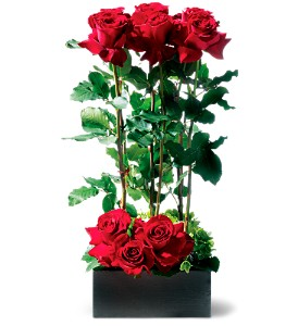 Teleflora's Scarlet Splendor Arrangement