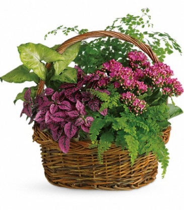 Teleflora's Secret Garden