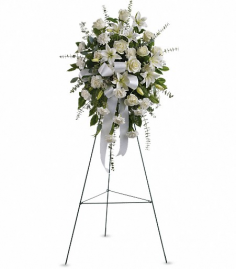 Category Image
