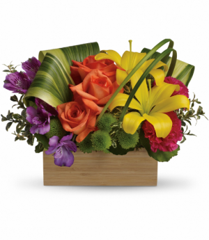 Teleflora's Shades of Brilliance Bouquet Teleflora in Mount Pearl, NL | MOUNT PEARL FLORIST Teleflora's Shades of Brilliance Bouquet Teleflora in Mount Pearl, NL | MOUNT PEARL FLORIST