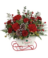 Teleflora's Snow What Fun T23X300A Bouquet
