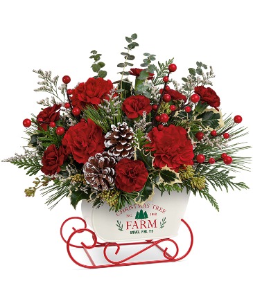 Teleflora's Snow What Fun T23X300A Bouquet in Moses Lake, WA | FLORAL OCCASIONS Teleflora's Snow What Fun T23X300A Bouquet in Moses Lake, WA | FLORAL OCCASIONS
