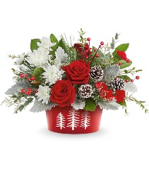 Teleflora's Snowy Pines Centerpiece (NEW!) All-Around