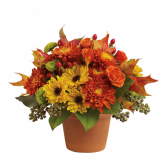 Teleflora's Sugar Maples Fall arrangement