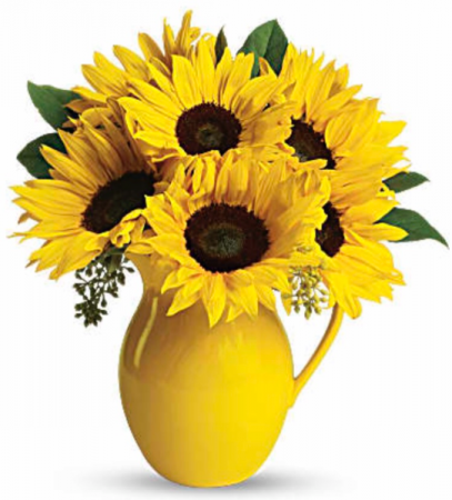 Teleflora’s Sunny Day Pitcher of Sunflowers  