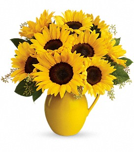 Teleflora's Sunny Day Pitcher of Sunflowers Fresh Floral