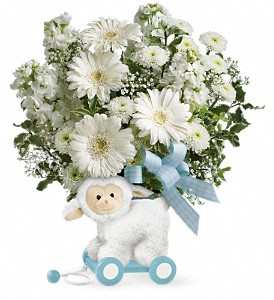Teleflora's Sweet Little Lamb - Blue TNB05-1B Bouquet in Moses Lake, WA | FLORAL OCCASIONS Teleflora's Sweet Little Lamb - Blue TNB05-1B Bouquet in Moses Lake, WA | FLORAL OCCASIONS