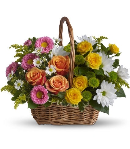 Mixed Rose Sympathy Basket