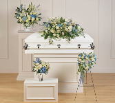Teleflora's Tender Remembrance Collection T283-9A