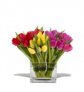 Teleflora's Tulips Together All tulip arrangement.