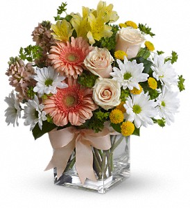 Teleflora's Walk in the Country