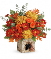 Teleflora's Wild Autumn Bouquet T18T300A