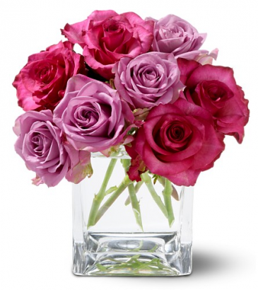 Teleflora's Wild Plum Roses Roses