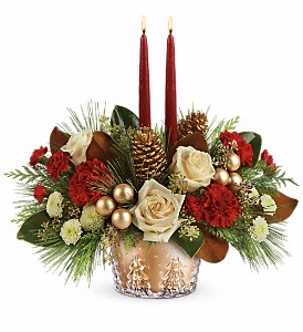 Teleflora's Winter Pine Bowl