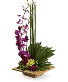 Teleflora's Zen Artistry Custom Arrangement