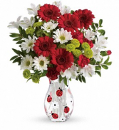 Telelfora's Lovely Lady Bugs
