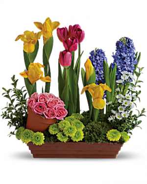 Telelfora's Spring Favorite Spring Flowers