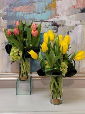Tempting Tulips 