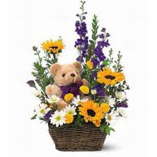 TEDDY IN THE FLOWERS *BASKET OF FLOWERS WITH TEDDY BEAR INCLUDED in Lebanon, NH | LEBANON GARDEN OF EDEN FLORAL SHOP TEDDY IN THE FLOWERS *BASKET OF FLOWERS WITH TEDDY BEAR INCLUDED in Lebanon, NH | LEBANON GARDEN OF EDEN FLORAL SHOP