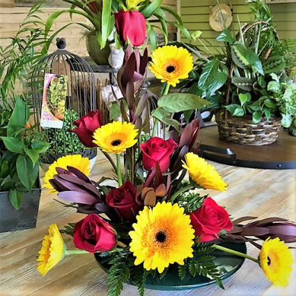 Tequila Sunrise Tropical Arrangement