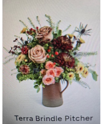 Terra Brindle Pitcher Fall