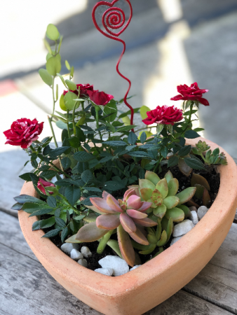 Terra Cotta Heart Planter Valentine's Day