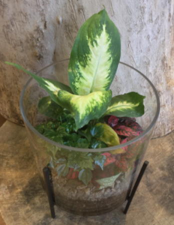 Terrarium