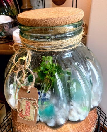 Terrarium Fresh Plants