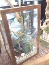 Terrarium Garden 