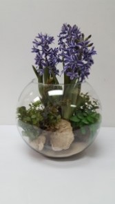 Terrarium Plant Silk