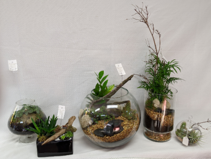 Terrariums