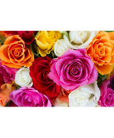 Test image load 