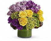 Simply Wonderful Anniversary, Birthday, Get Well