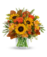 Thankful for Sunflowers  