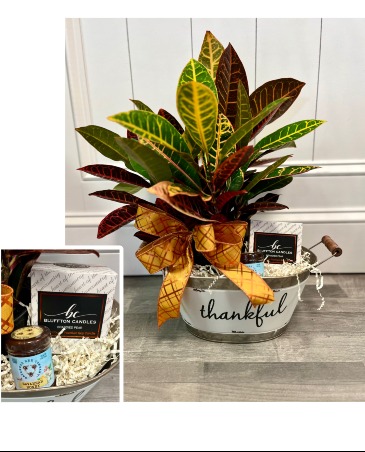 Thankful for You  in Bluffton, SC | BERKELEY FLOWERS & GIFTS