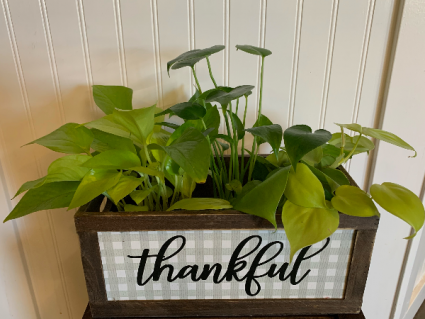 Thankful planter