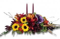 Category Image