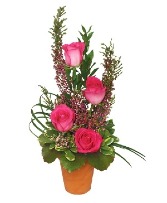 Thanks For All You Do! Appreciation Flowers