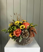 Thanksgiving Blessings 