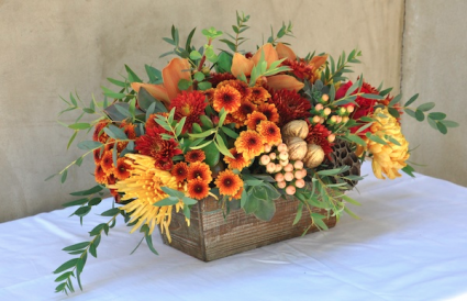 Autumn Bounty Florist Choice Boxed Design of Autumn Blooms