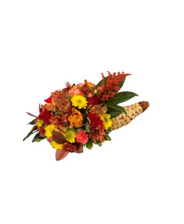 Thanksgiving Cornucopia Arrangement in Coral Springs, FL | DARBY'S FLORIST