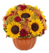 Thanksgiving Pumpkin Celebration Arrangement