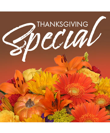 Thanksgiving Special Designer's Choice in Bourbonnais, IL | Ba Da Bloom Flower Shoppe